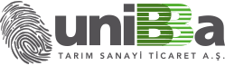 UNIBBA